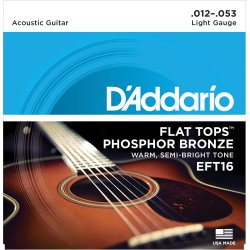 D'Addario Fretted EFT16 Flat Tops Phosphor Bronze Regular Light 012-053 Western Guitar Strengest