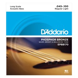 D'Addario Fretted EPBB170 Phosphor Bronze Light 045 - 100 akustisk bas strengest