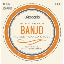D'Addario Fretted EJ63I Nickel Tenor Irish 012 -036 banjo strengest