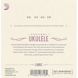 D'Addario Fretted EJ65C Concert Pro Art ukulele strengest