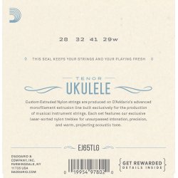 D'Addario Fretted EJ65TLG Tenor Low G ukulele strengest