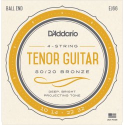 D'Addario Fretted EJ66 80/20 Bronze 010-032 tenor guitar strengest