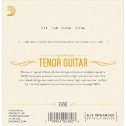 D'Addario Fretted EJ66 80/20 Bronze 010-032 tenor guitar strengest