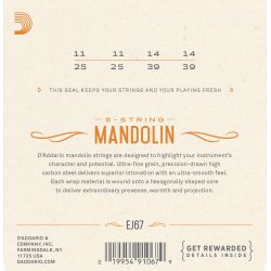 D'Addario Fretted EJ67 Nickel Medium 011-039 mandolin strengest