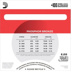 D'Addario Fretted EJ55 Phosphor Bronze Medium 010-023 (5-strenge) banjo strengest