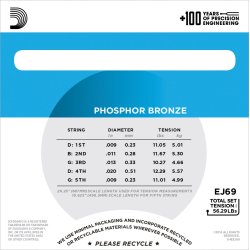 D'Addario Fretted EJ69 Phosphor Bronze Light 009-020 (5-strenge) banjo strengest