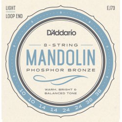D'Addario Fretted EJ73 Phosphor Bronze 010 - 038 mandolin strengest