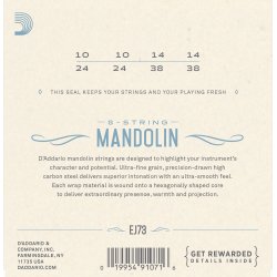 D'Addario Fretted EJ73 Phosphor Bronze 010 - 038 mandolin strengest
