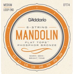 D'Addario Fretted EFT74 Flatwound Phosphor Bronze Medium 011-039 mandolin strengest
