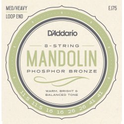 D'Addario Fretted EJ75 Phosphor Bronze Med/Heavy 0115- 041 mandolin strengest