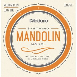 D'Addario Fretted EJM75C Monel Medium Plus 011-041 mandolin strengest