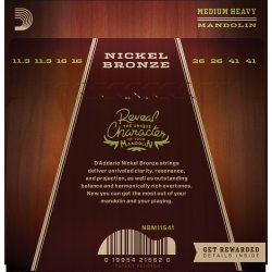 D'Addario Fretted NBM11541 Nickel Bronze Medium/Heavy 0115-041 mandolin strengest