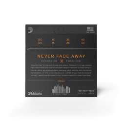 D'Addario Fretted XTM1140 XT Phosphor Bronze Medium 011-040 mandolin strengest