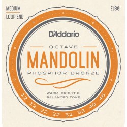 D'Addario Fretted EJ80 Phosphor Bronze 012-0 oktavmandolin strengest