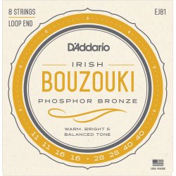 D'Addario Fretted EJ81 Irish Bouzouki Phosphor Bronze 011-040 folkeinstrument strengest