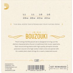 D'Addario Fretted EJ81 Irish Bouzouki Phosphor Bronze 011-040 folkeinstrument strengest
