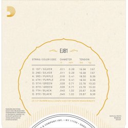 D'Addario Fretted EJ81 Irish Bouzouki Phosphor Bronze 011-040 folkeinstrument strengest