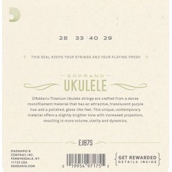 D'Addario Fretted EJ87S Sopran Titanium ukulele strengest