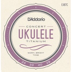 D'Addario Fretted EJ87C Concert Titanium ukulele strengest