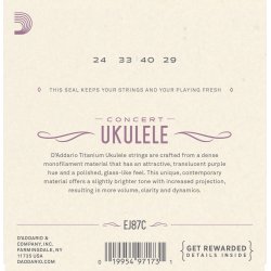 D'Addario Fretted EJ87C Concert Titanium ukulele strengest