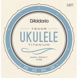 D'Addario Fretted EJ87T Titanium Tenor ukulele strengest