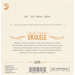 D'Addario Fretted EJ87B Baritone Titanium ukulele strengest