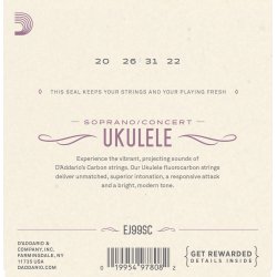 D'Addario Fretted EJ99SC Sopran/Concert Carbon ukulele strengest
