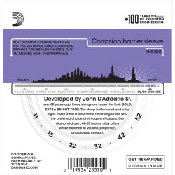 D'Addario Fretted EJ13-3D 80/20 Bronze Custom Light 011-052 Western Guitar Strengest (3-st)