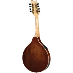 Ortega RMAE200PF Americana Serie A-style Mandolin m/mikkrofon inkl. kuffert (Flamed Maple/Mahogany purple fade)