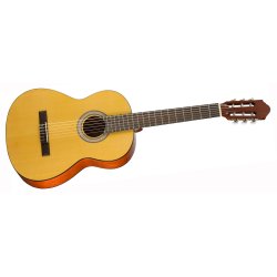 Walden Guitars N350W Klassisk Guitar inkl. taske 