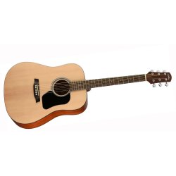 Walden Guitars D350W Western Guitar