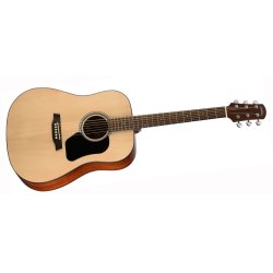 Walden Guitars D450W western guitar
