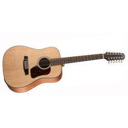 Walden Guitars D552EW 12-strenget western guitar m/pickup