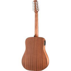 Walden Guitars D552EW 12-strenget western guitar m/pickup