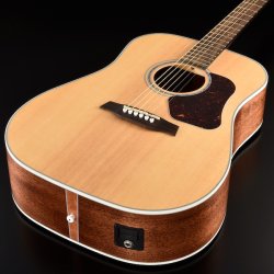 Walden Guitars D740EW Westen Guitar med Pickup