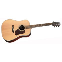 Walden Guitars D800EW western guitar m/pickup