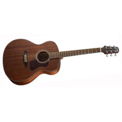 Walden Guitars G551EW western guitar m/pickup