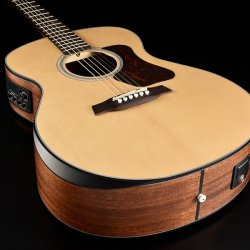 Walden Guitars G550REW akustisk-elektrisk guitar