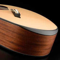 Walden Guitars G550REW akustisk-elektrisk guitar