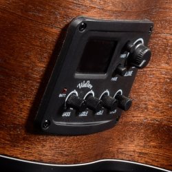 Walden Guitars G570ETBW western guitar m/pickup