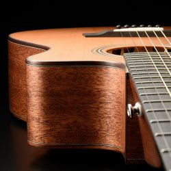 Walden Guitars G2070RCEH western guitar m/pickup