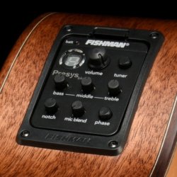 Walden Guitars G2070RCEH western guitar m/pickup