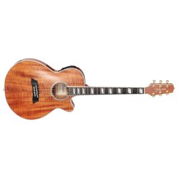Takamine TSP178ACK N Thinline western guitar m/pickup