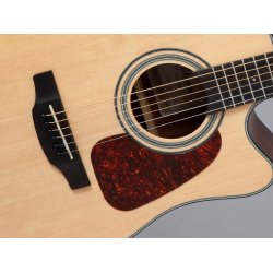 Takamine GD10CE-NS western guitar m/pickup