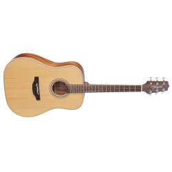 Takamine GD20-NS western guitar 