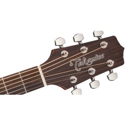 Takamine GD20-NS western guitar 