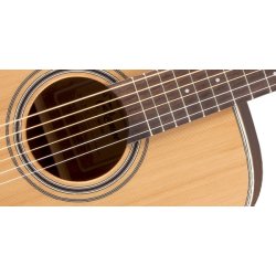 Takamine GD20-NS western guitar 