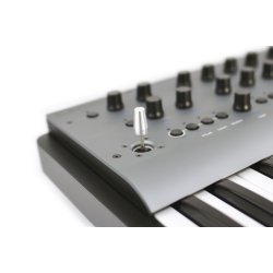Modal Electronics Carbon8 Experimental Digital Synthesizer (8-stemmer, 37-tangenter)