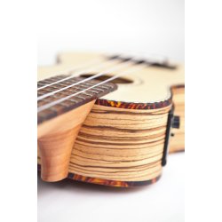 Reno RU210E ukulele med forforst�rker