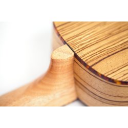 Reno RU210E ukulele med forforst�rker